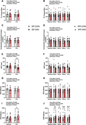 Passive heating-induced changes in muscle contractile function are not further augmented by prolonged exposure in young males experiencing moderate thermal stress